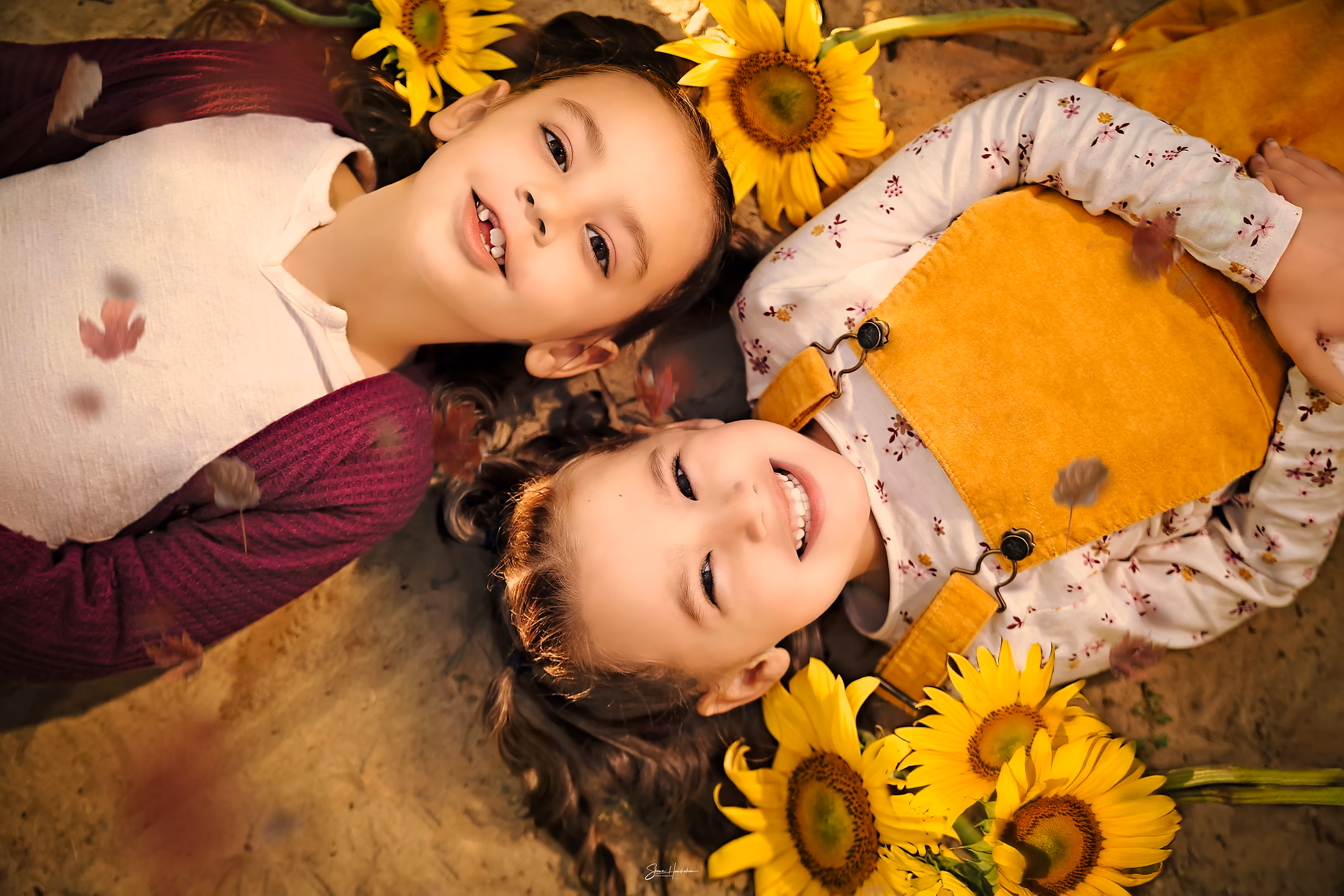 Two sisters lying among sunflowers, looking up at the camera