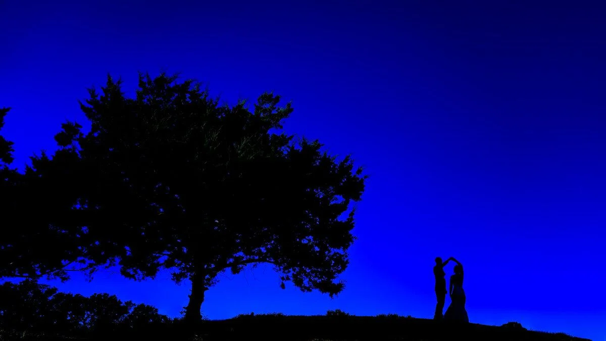 Lone tree silhouetted against deep blue twilight